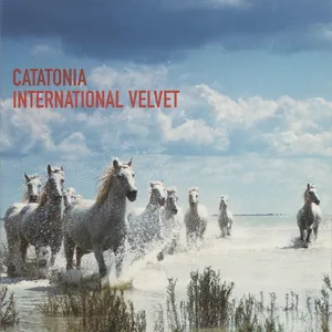 International velvet